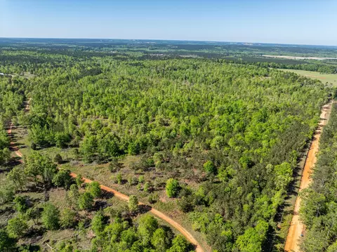 0 Whitaker Rd, Dearing, GA 30808 photo 21