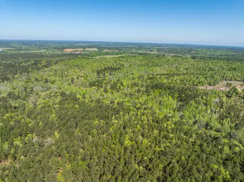 0 Whitaker Rd, Dearing, GA 30808 photo 18