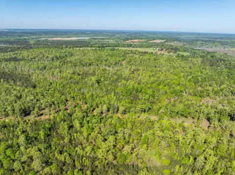0 Whitaker Rd, Dearing, GA 30808 photo 6
