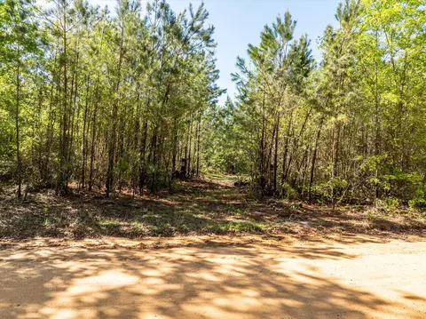 0 Whitaker Rd, Dearing, GA 30808 photo 2