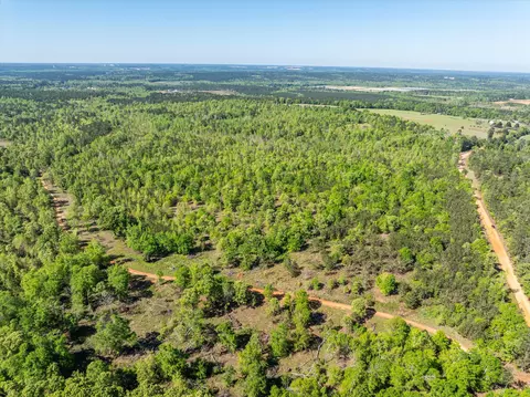0 Whitaker Rd, Dearing, GA 30808 photo 7