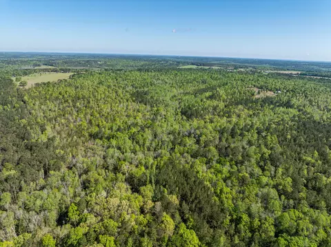 0 Whitaker Rd, Dearing, GA 30808 photo 16