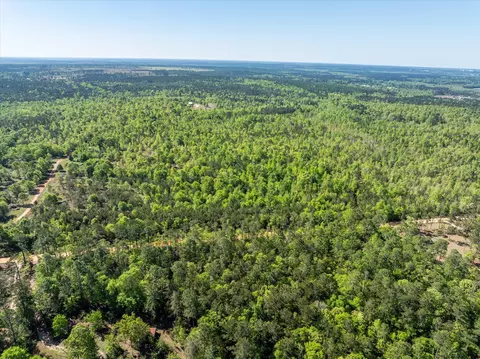 0 Whitaker Rd, Dearing, GA 30808 photo 9