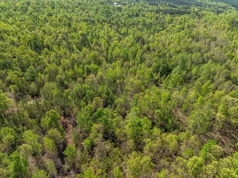 0 Whitaker Rd, Dearing, GA 30808 photo 23