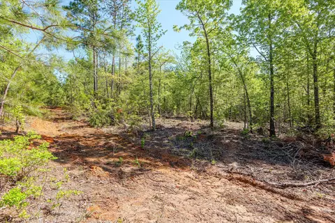 0 Whitaker Rd, Dearing, GA 30808 photo 28