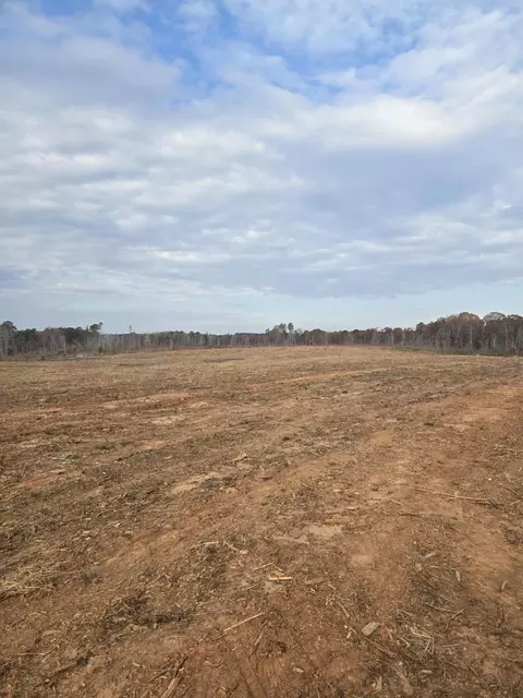 0 Elberton Hwy, Lincolnton, GA 30817