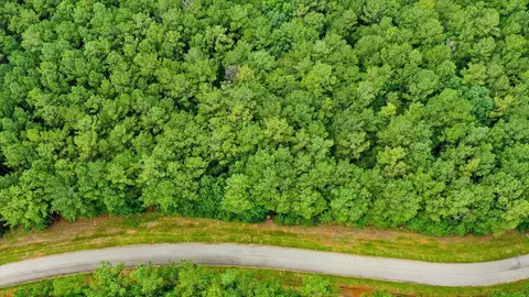 lot57 Lighthouse Pointe, Lincolnton, GA 30817 photo 10