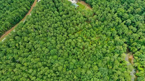 lot57 Lighthouse Pointe, Lincolnton, GA 30817 photo 7