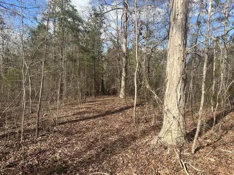 265 Lost Pond Ln, Appling, GA 30802