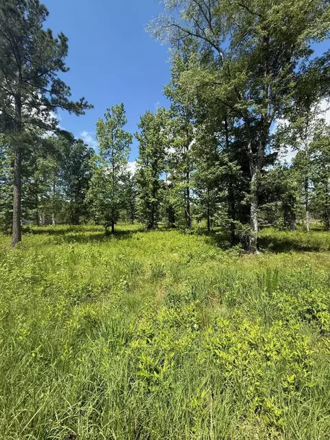 385 Shagbark Way, Harlem, GA 30814