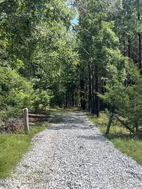 3199 Dozier Rd, Appling, GA 30802