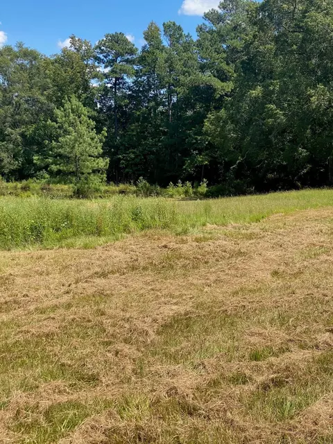 2829 Sellars Rd, Appling, GA 30802 photo 4