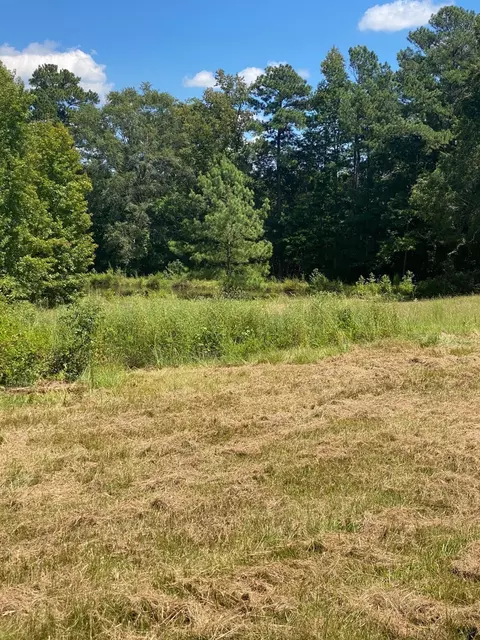 2829 Sellars Rd, Appling, GA 30802 photo 7