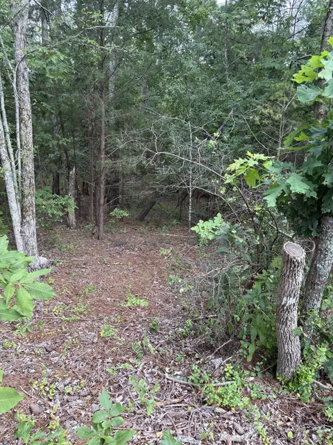 lot15 Overlook Pt, Mccormick, SC 29835