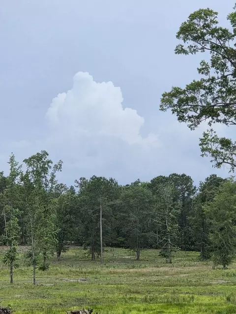 365 Shagbark Way, Harlem, GA 30814