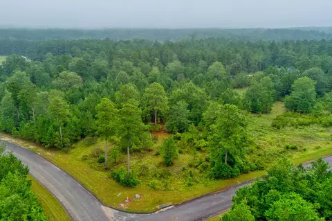 lot5 Cooks Pond Rd, Windsor, SC 29856