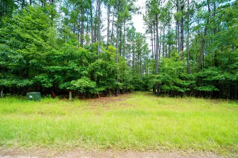 lot36 Savannah Ridge Rd, Lincolnton, GA 30817