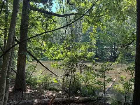 lot2 Cardinal Dr, Trenton, SC 29847