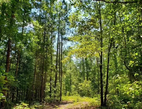 1027 Grindstone Creek Rd, Hephzibah, GA 30815