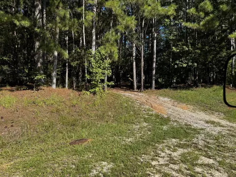 L5 B25 Loblolly Point, Mccormick, SC 29835 photo 6