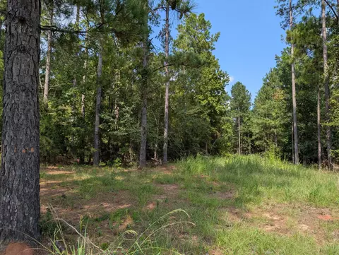 00 Elberton Hwy # A, Lincolnton, GA 30817