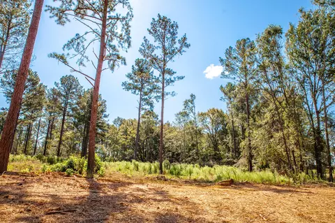 535 Rabbit Pen Dr, Appling, GA 30802