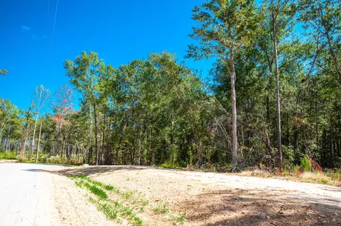 555 Rabbit Pen Dr, Appling, GA 30802