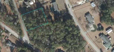 lot55 Sand Dr, Williston, SC 29853 photo 2