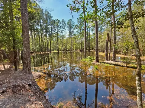 1320 Reynolds Pond Rd, Aiken, SC 29805
