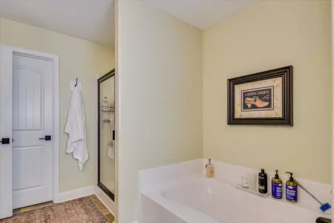 Bath - 262 Brassie Dr, Mccormick, SC 29835 photo 3 of 4