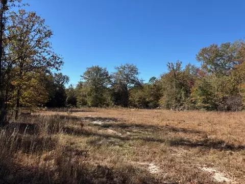 1006 Huckleberry Finn Rd, Batesburg-leesville, SC 29006