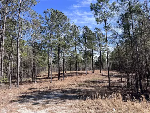 2296 Williams Road Rd, Thomson, GA 30824 photo 2