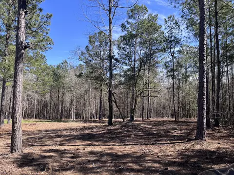 2296 Williams Road Rd, Thomson, GA 30824 photo 3
