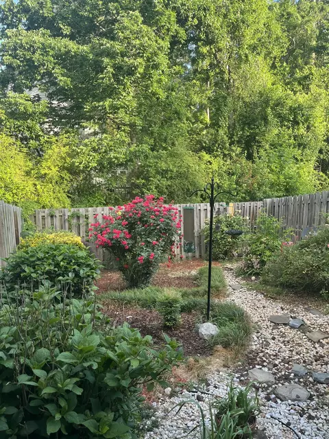 Exterior - 3007 Pointewest Dr, Augusta, GA 30909 photo 3 of 9