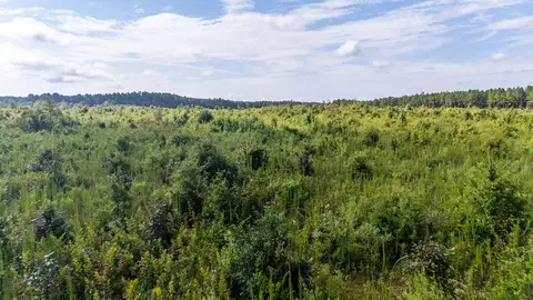 15 Ac Ouzts Rd, Edgefield, SC 29824