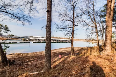 4009 Harbor Point Rd, Appling, GA 30802 photo 34
