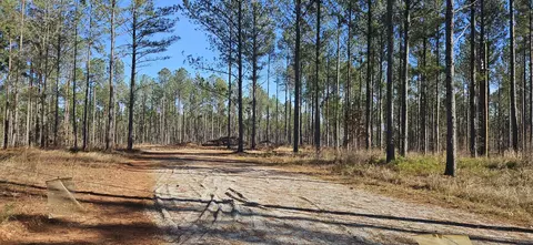 1 Smith Chapel Rd, Lincolnton, GA 30817