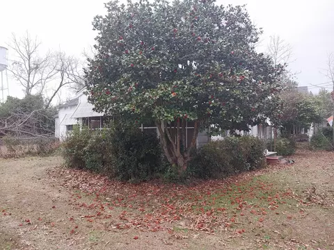 Exterior - 135 E Trippe St, Harlem, GA 30814 photo 3 of 6