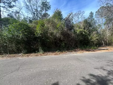0 Robinson Dr, New Ellenton, SC 29809