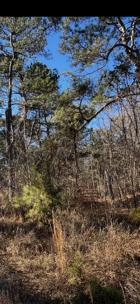 0 Pate Mill Rd, Warrenton, GA 30828