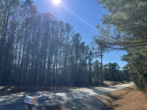 0 Highway 179, Plum Branch, SC 29845