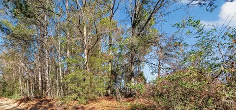 469 Harlem St, New Ellenton, SC 29809