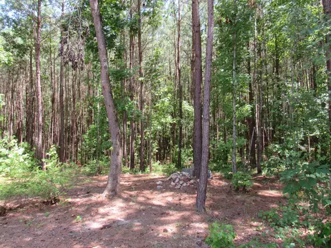 7 Riley Rd, Edgefield, SC 29824 photo 14