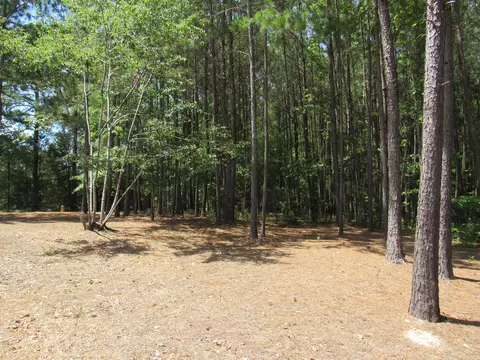 7 Riley Rd, Edgefield, SC 29824 photo 17
