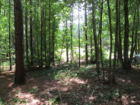7 Riley Rd, Edgefield, SC 29824 photo 21