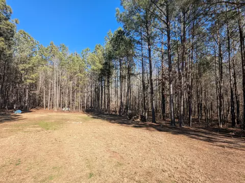 7 Riley Rd, Edgefield, SC 29824 photo 10