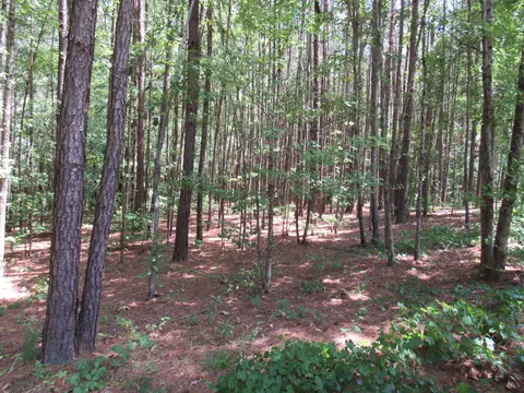 7 Riley Rd, Edgefield, SC 29824 photo 5