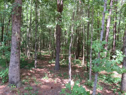 7 Riley Rd, Edgefield, SC 29824 photo 20