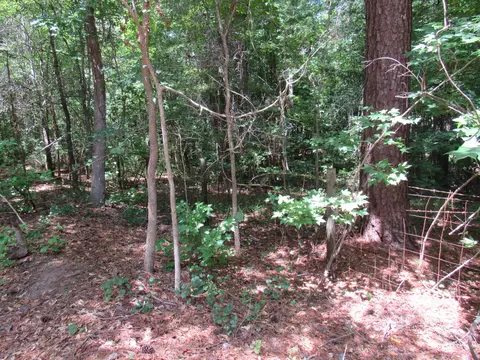 7 Riley Rd, Edgefield, SC 29824 photo 27