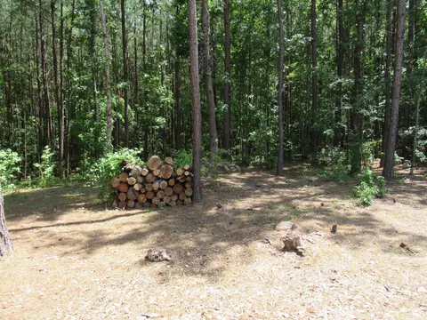 7 Riley Rd, Edgefield, SC 29824 photo 15